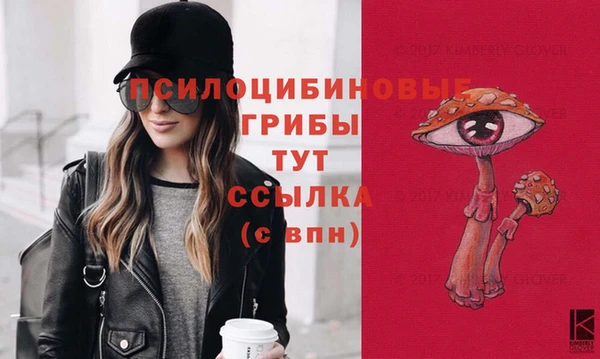 PSILOCYBIN Алексин