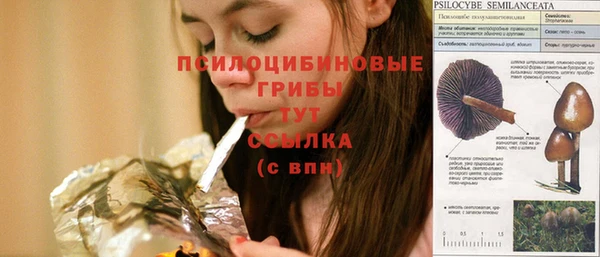 синтетический гашиш Алексеевка
