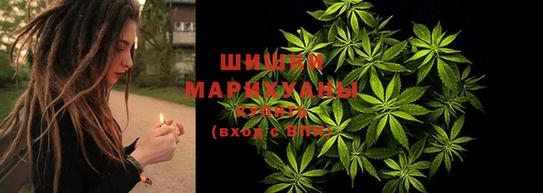 PSILOCYBIN Алексин