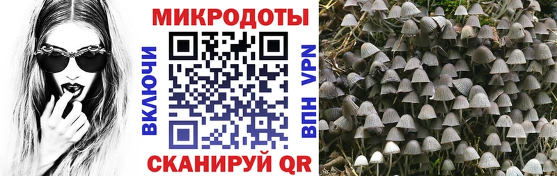 Галлюциногенные грибы MAGIC MUSHROOMS  Олонец 